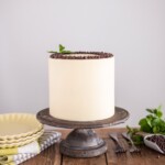 Fresh Mint Chocolate Chip Cake